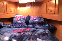 cabineavant