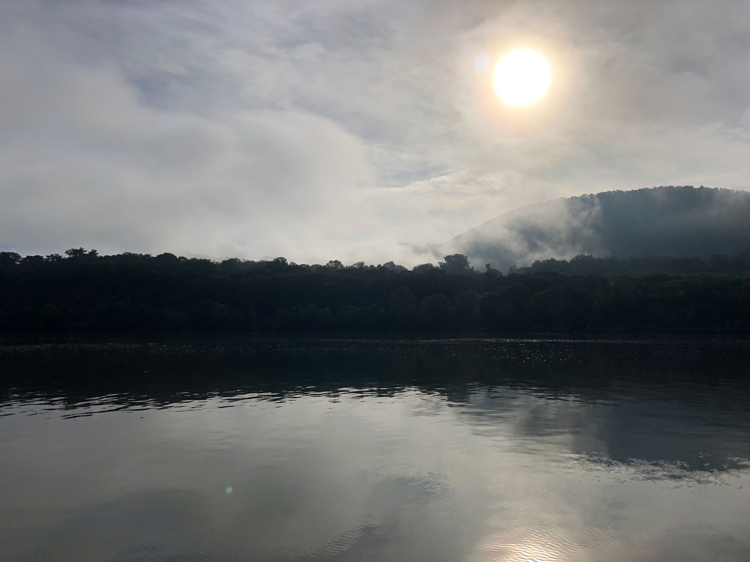 brouillard