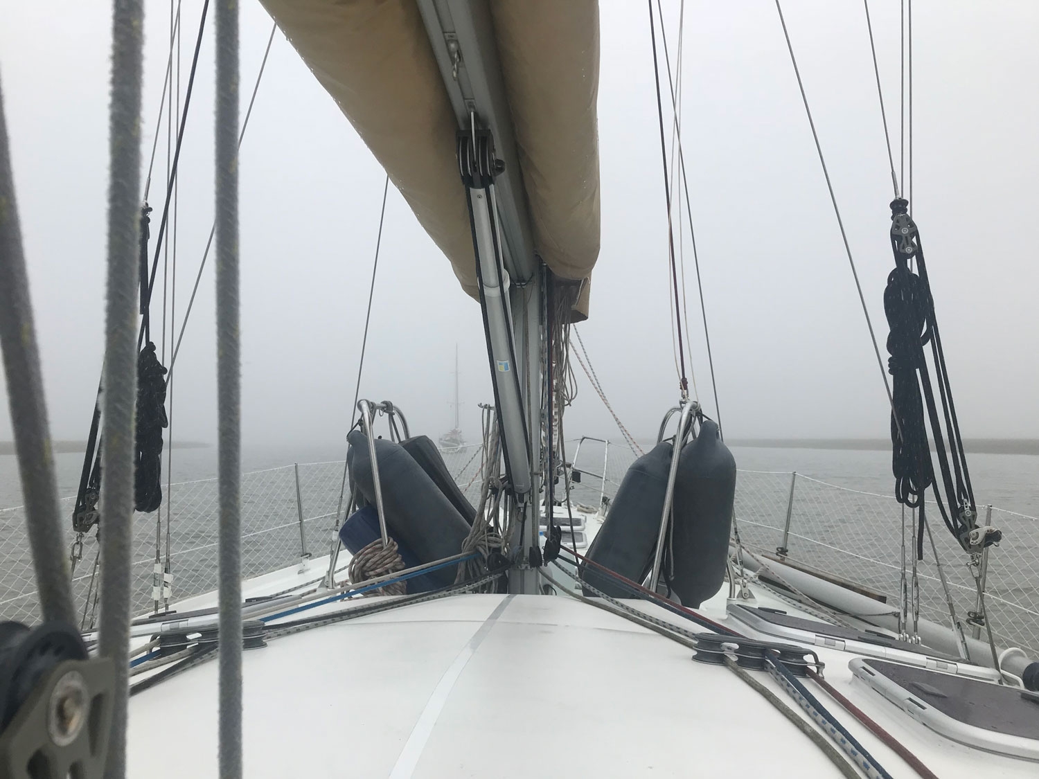brouillard