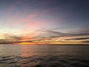 Leverdusoleil