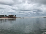 merintracostal